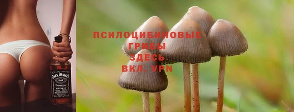 мяу мяу мука Верея